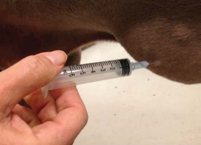 techniki-pobierania-materialu-ilustracja1