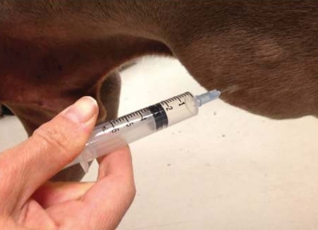 techniki-pobierania-materialu-ilustracja2