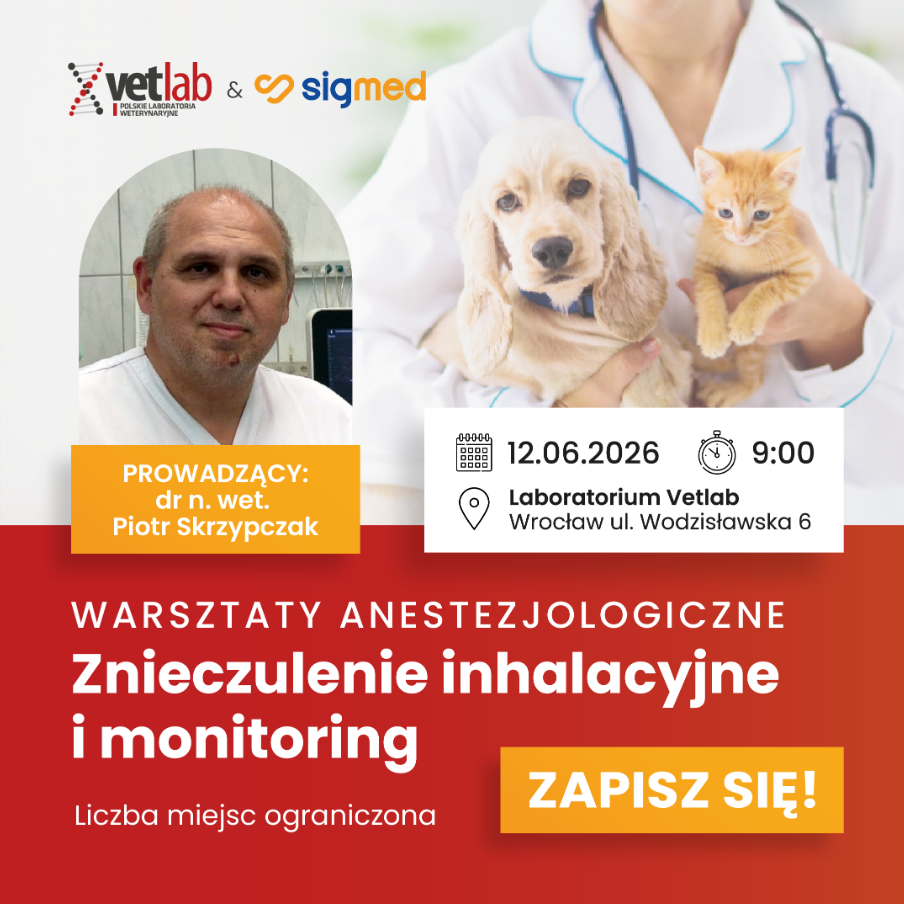 Warsztaty Vetlab & Sigmed